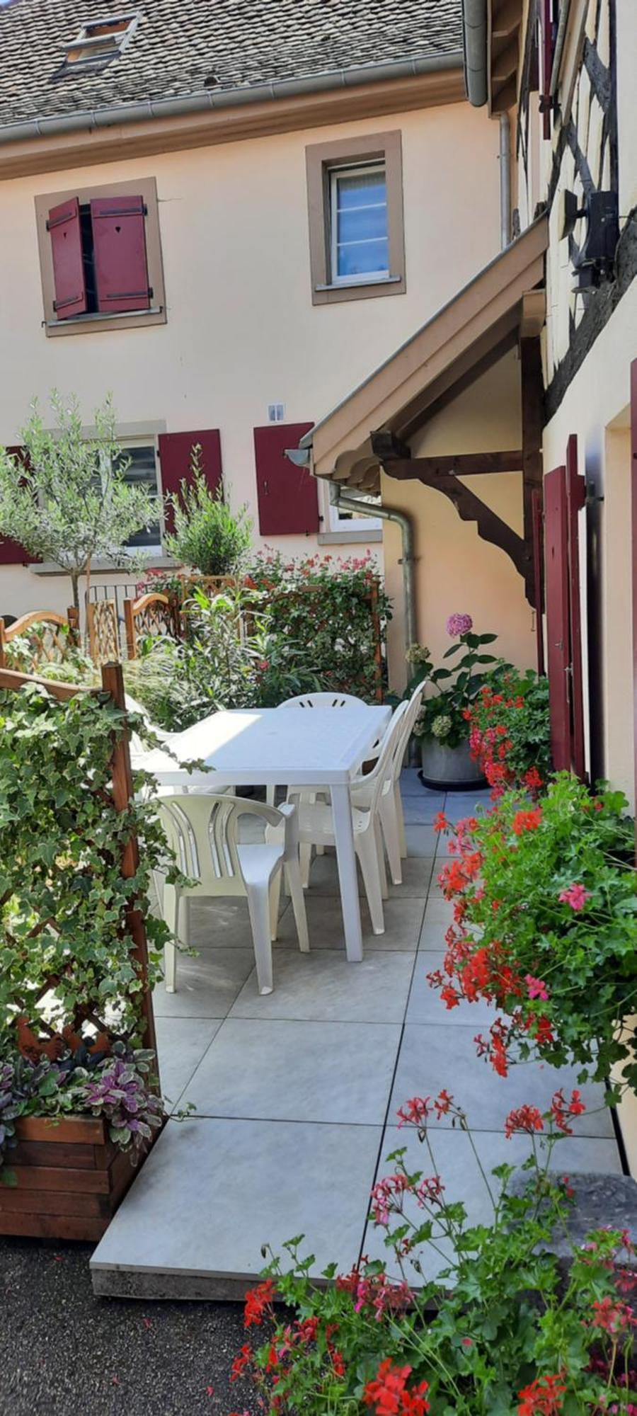 Le Repaire Des Hirondelles - Le Colombage Villa Scharrachbergheim-Irmstett Dış mekan fotoğraf