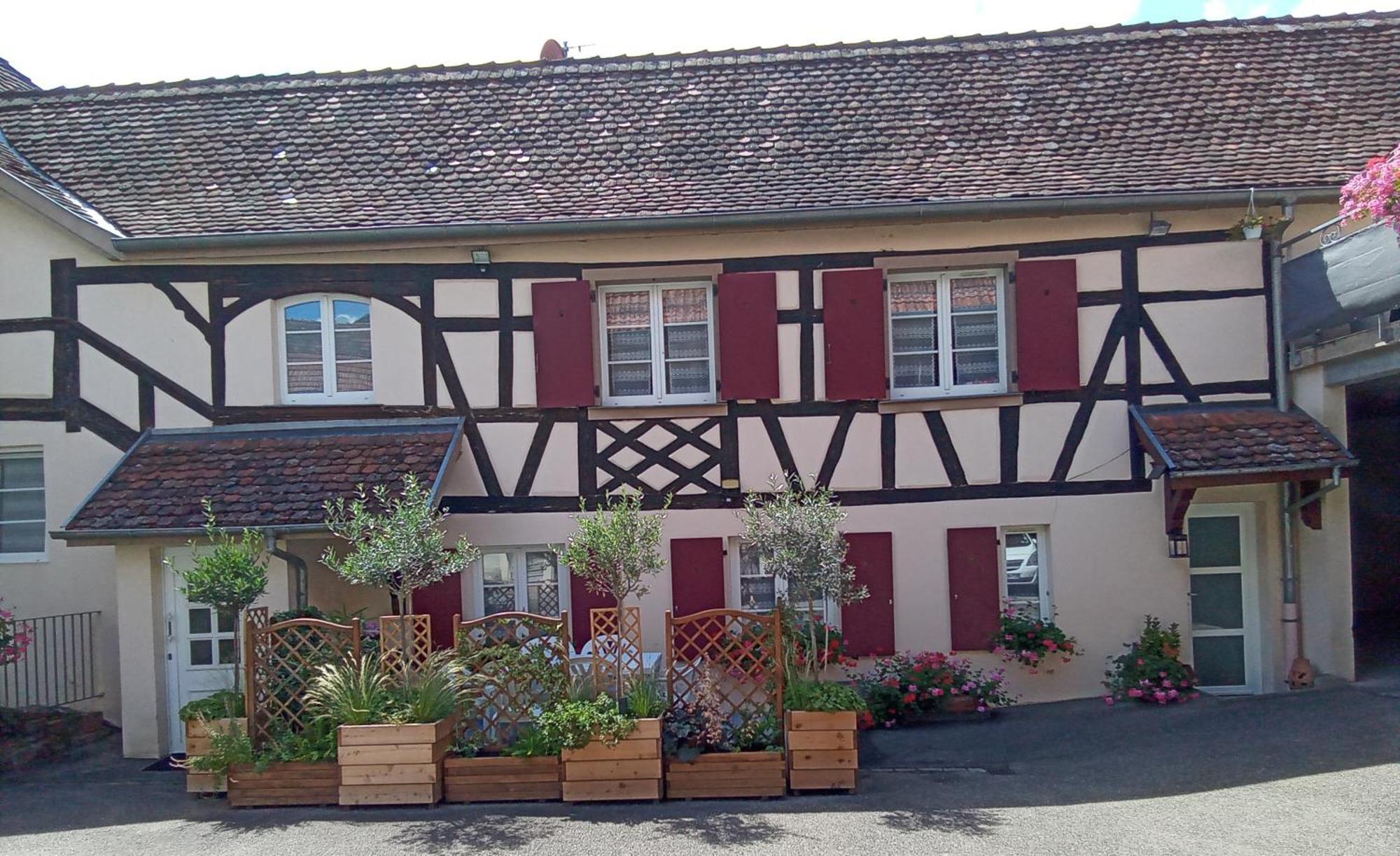 Le Repaire Des Hirondelles - Le Colombage Villa Scharrachbergheim-Irmstett Dış mekan fotoğraf